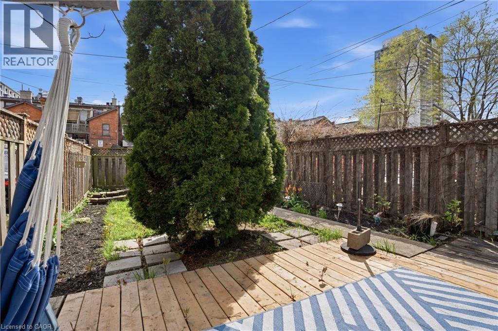 Rear yard featuring a wooden deck, a mature evergreen tree, and a stone-paver pathway - 137 Market Street, Hamilton, ON - Outdoor