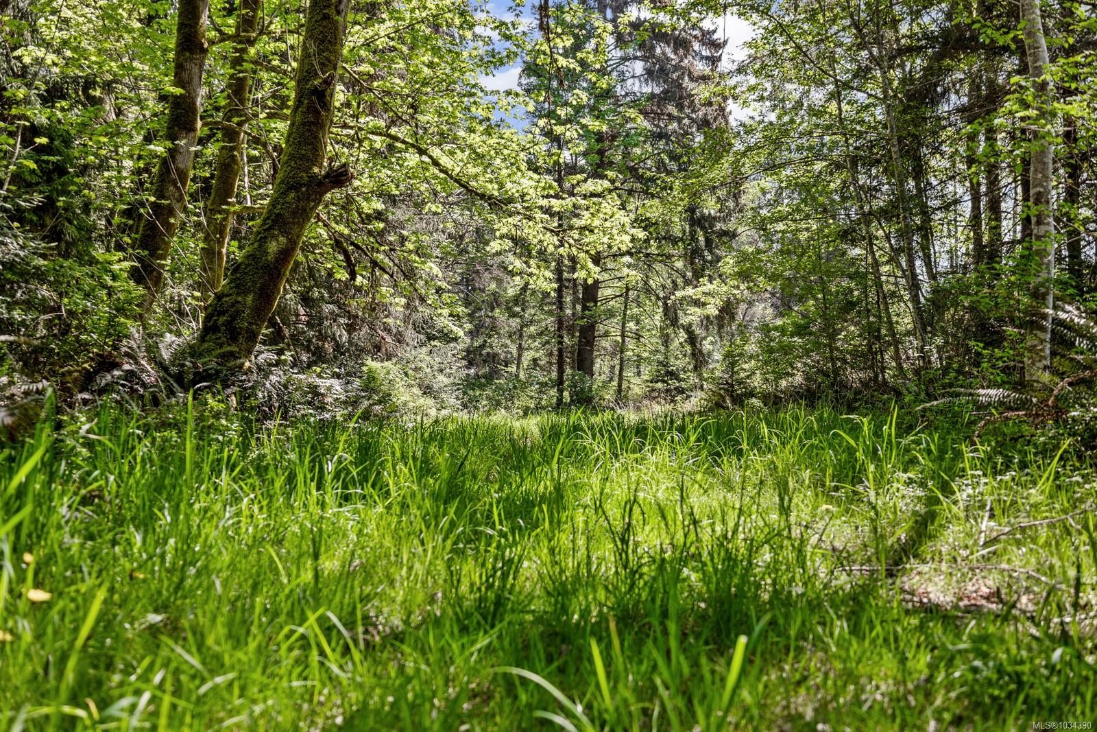 264 Sutil Rd, Quadra Island, BC