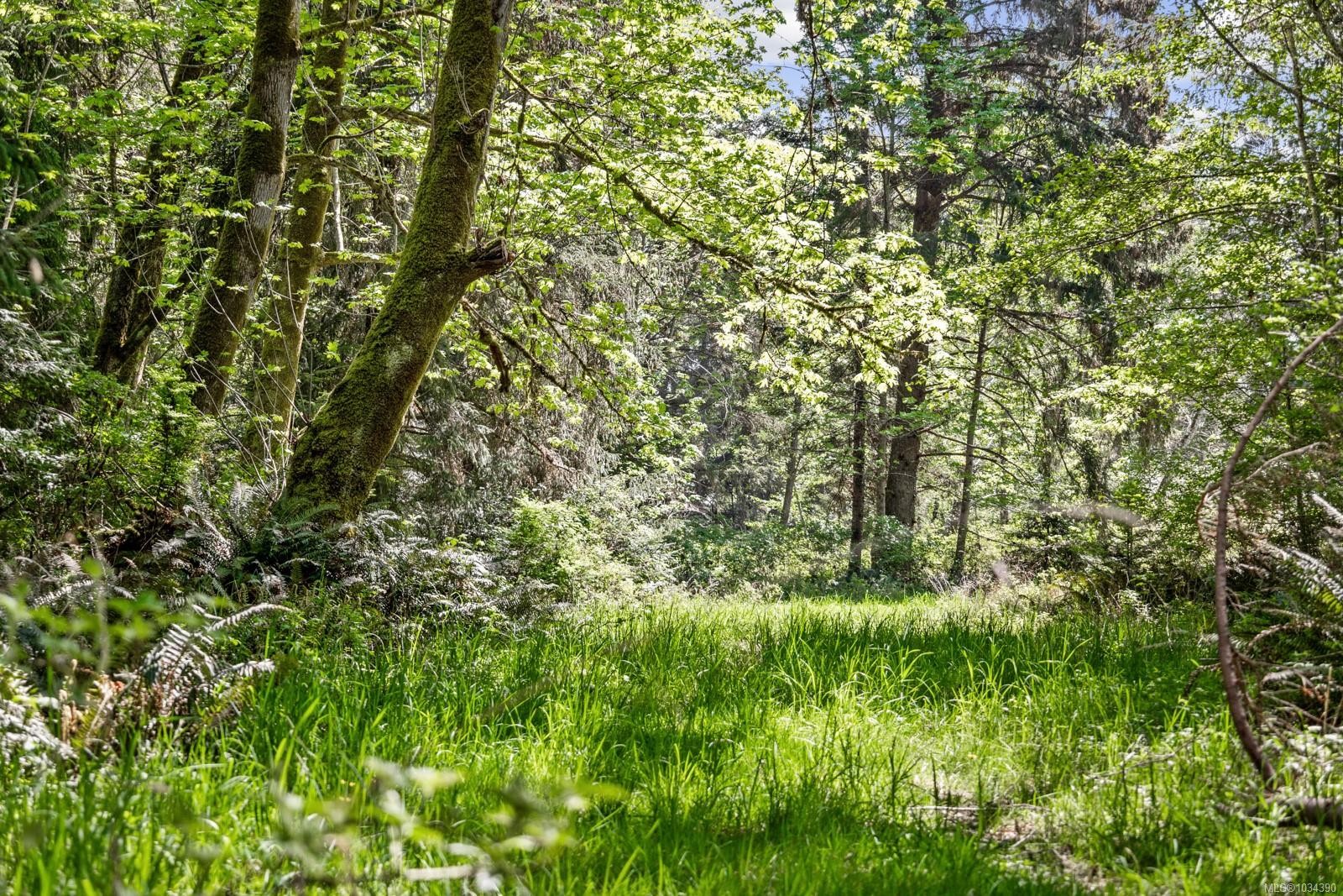 264 Sutil Rd, Quadra Island, BC