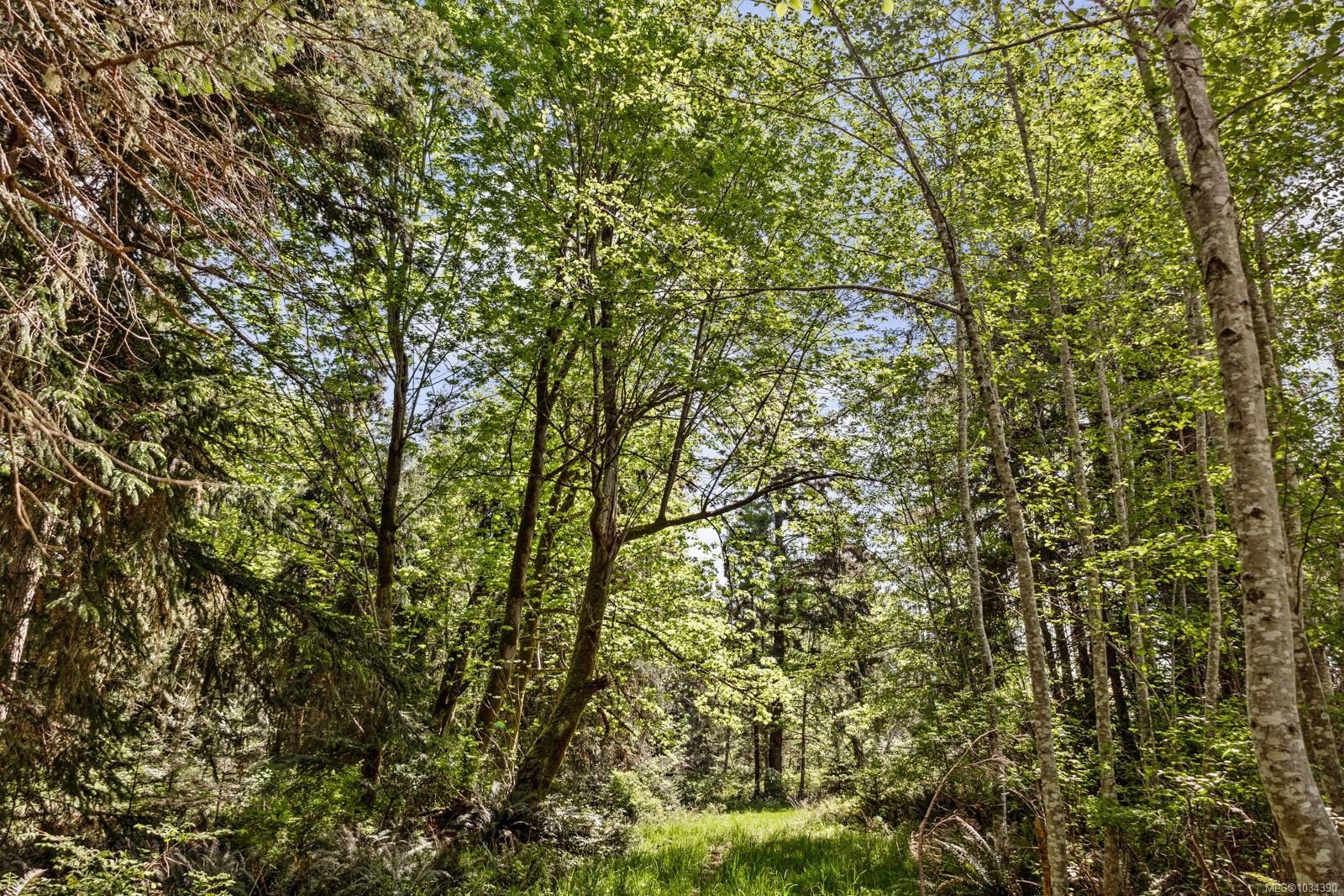 264 Sutil Rd, Quadra Island, BC