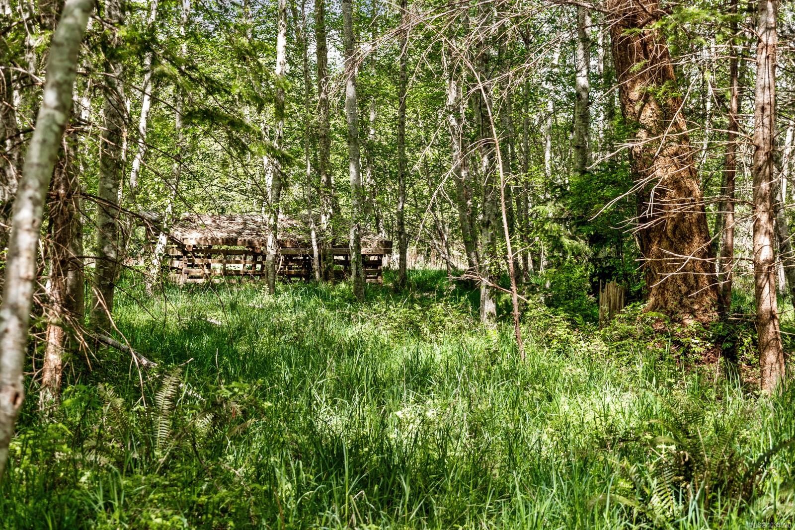 264 Sutil Rd, Quadra Island, BC