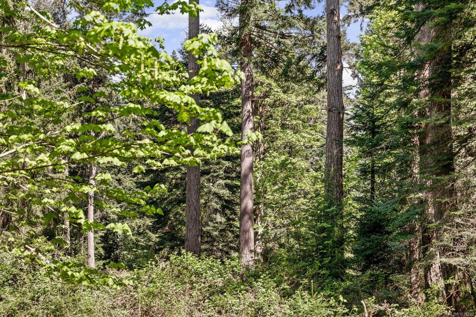 264 Sutil Rd, Quadra Island, BC