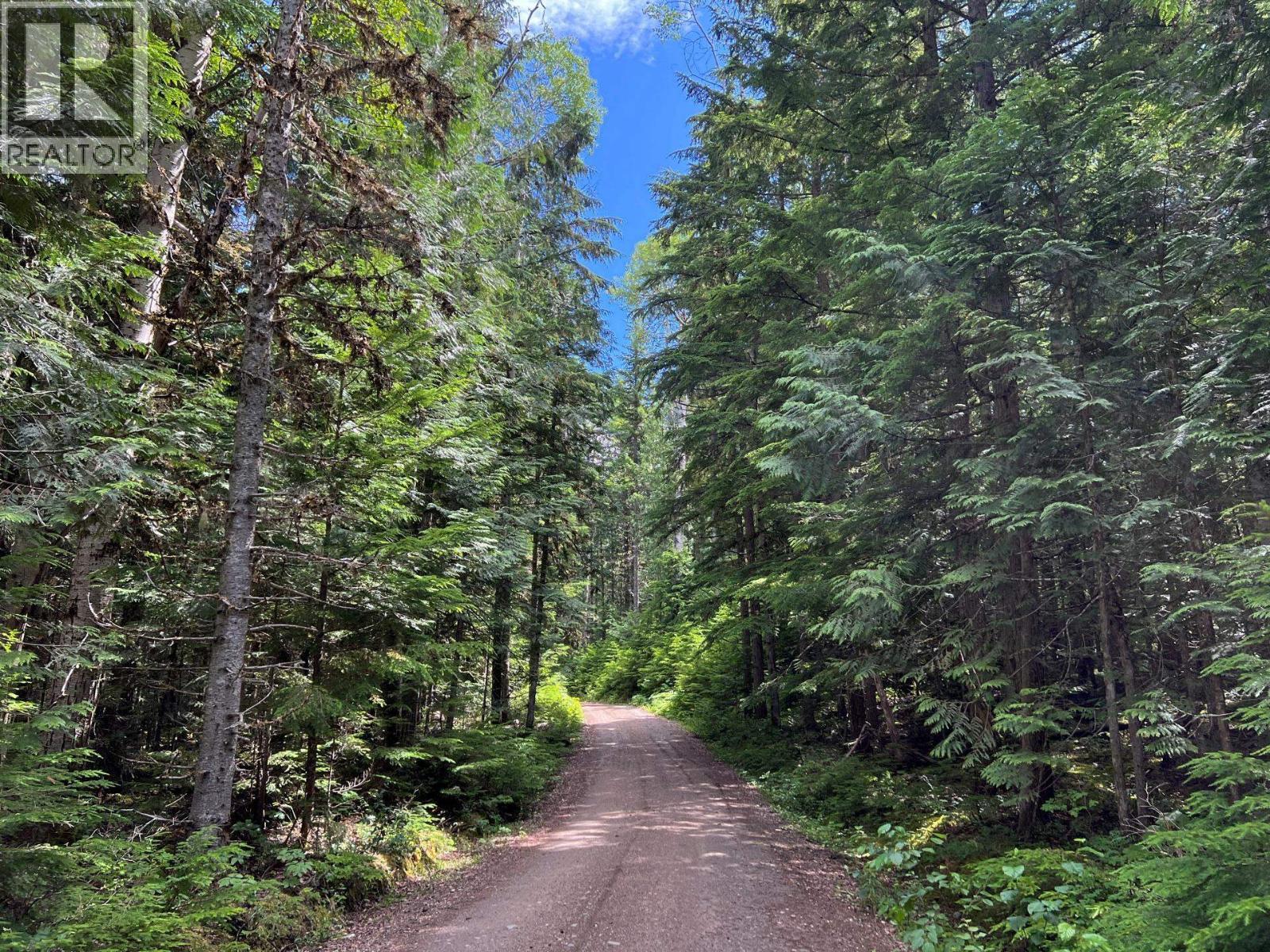 5517 Marshall Creek Road, Horsefly, BC - Outdoor With View