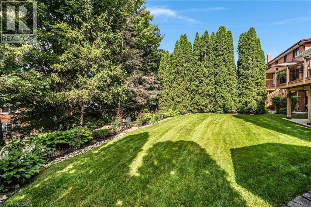 Expansive green lawn with a gradual incline, bordered by mature evergreen trees and established garden beds - 228 Michener Crescent, Kitchener, ON - Outdoor