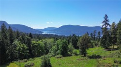 113 Quail Cres Salt Spring, BC V8K 1H1