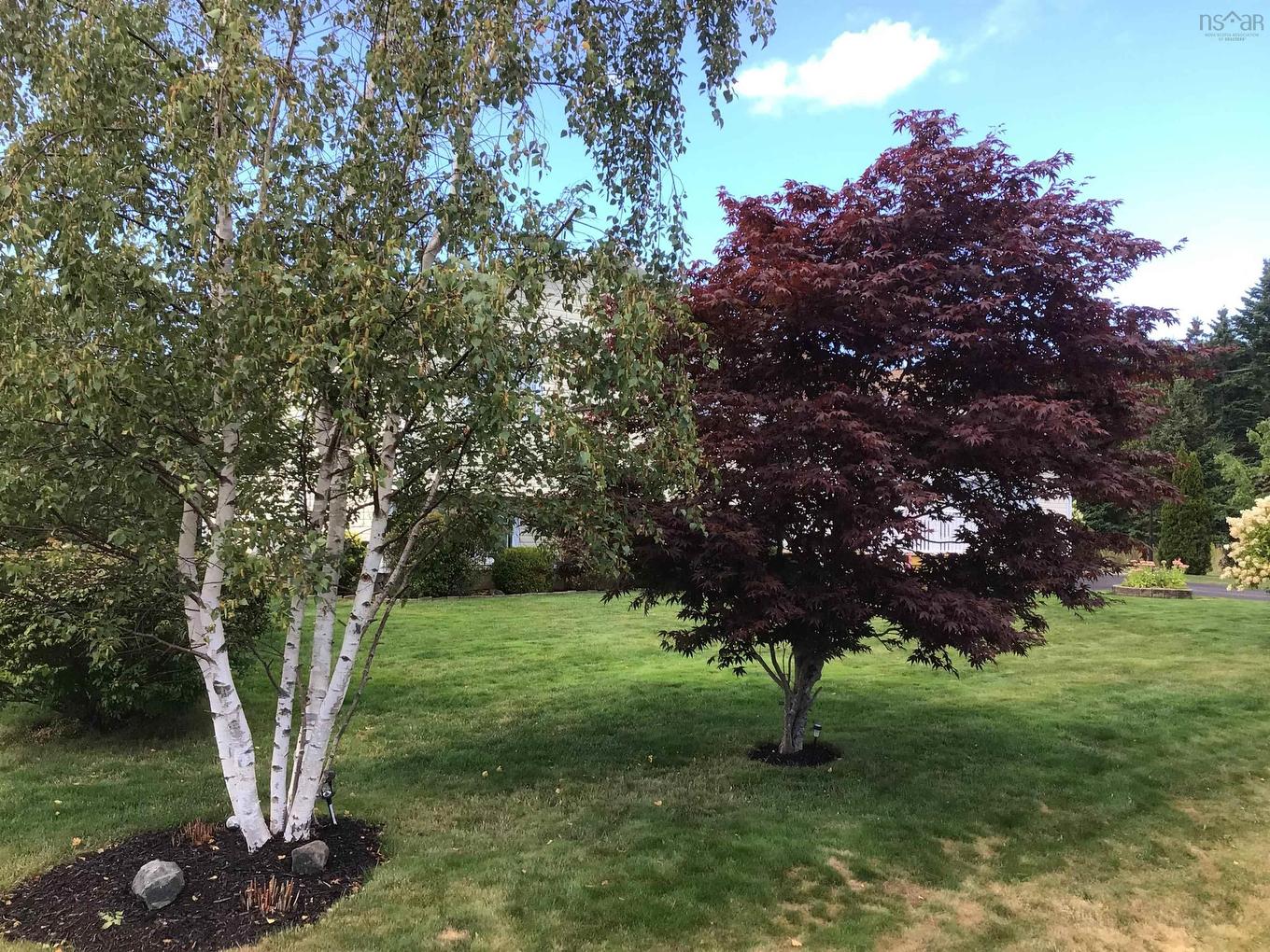 2 Willis Avenue, Coxheath, NS