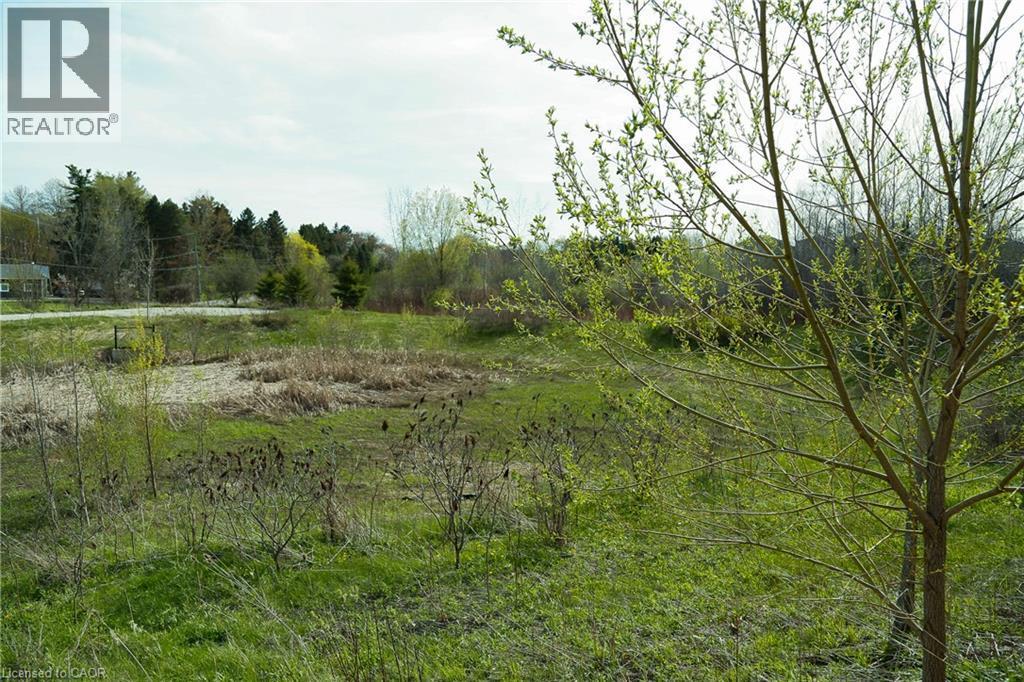 Expansive grassy terrain featuring diverse vegetation and mature trees - 477 Blair Creek Drive, Kitchener, ON - Outdoor With View