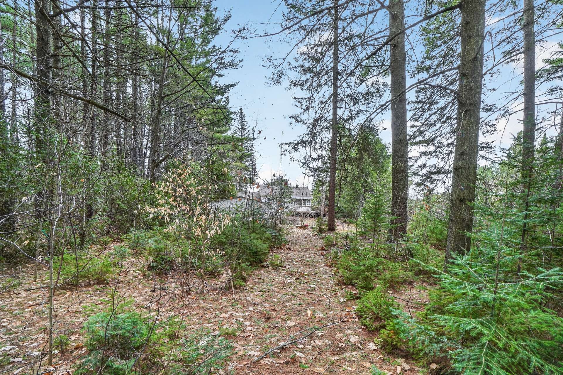 Wooded area - 2580 Route 348, Rawdon, QC - Outdoor With View