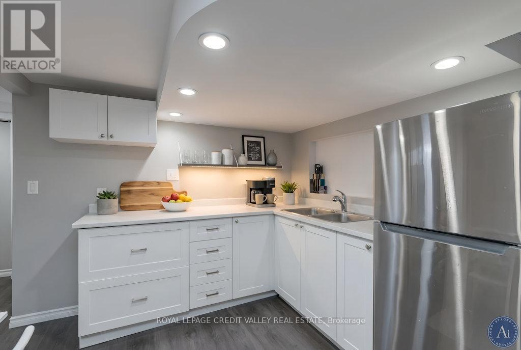 117 Glencarry Avenue, Hamilton, ON - Indoor Photo Showing Kitchen With Double Sink