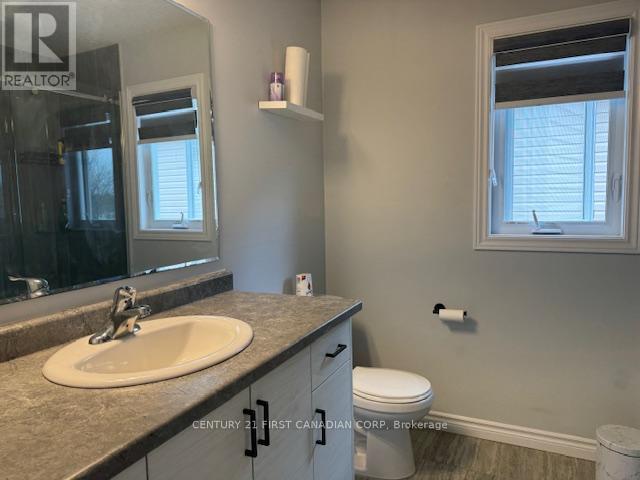 245 Wesley Boulevard, Cambridge, ON - Indoor Photo Showing Bathroom