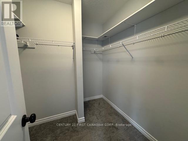 245 Wesley Boulevard, Cambridge, ON - Indoor With Storage