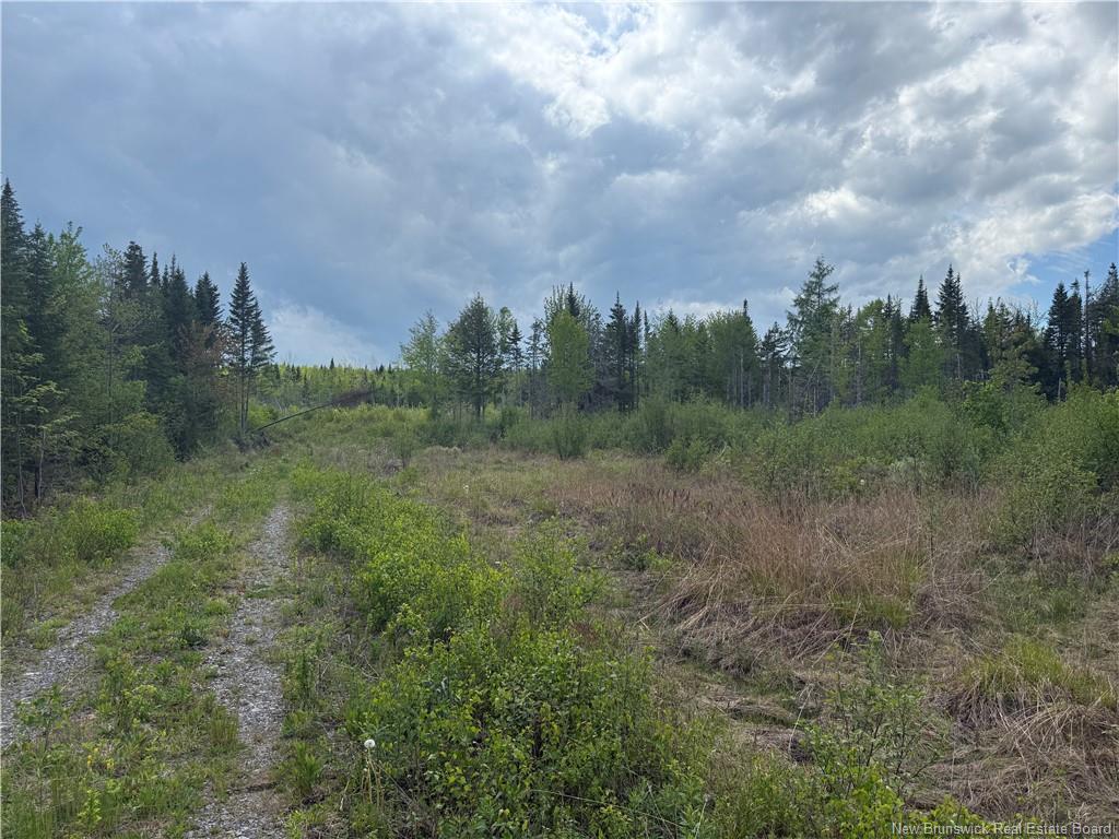 0 Benton Rd, Benton, NB