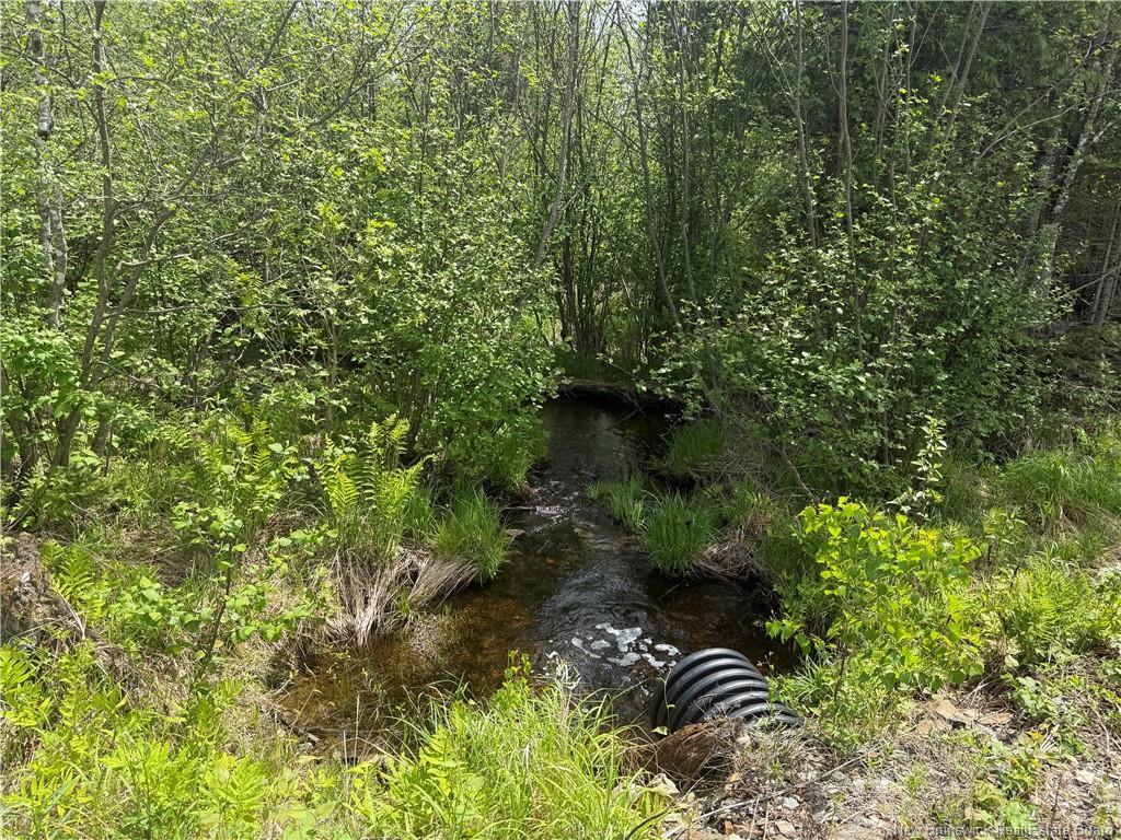 0 Benton Rd, Benton, NB
