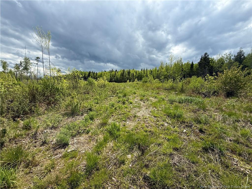 0 Benton Rd, Benton, NB