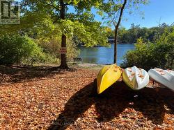 access to kayak launch - 