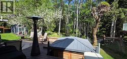 forest -