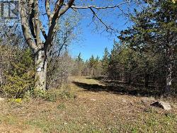 LOT 3 GALBRAITH GROVE ROAD Stone Mills (Stone Mills), ON K0K 3N0