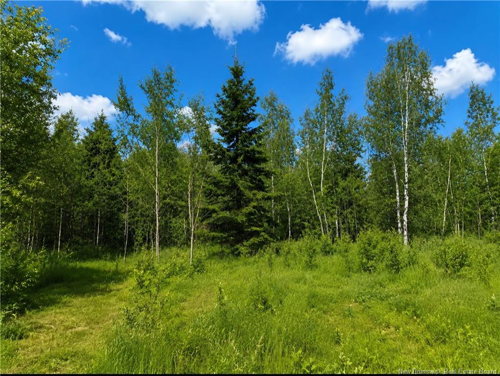 Lot Monteagle Rd, Salisbury, NB
