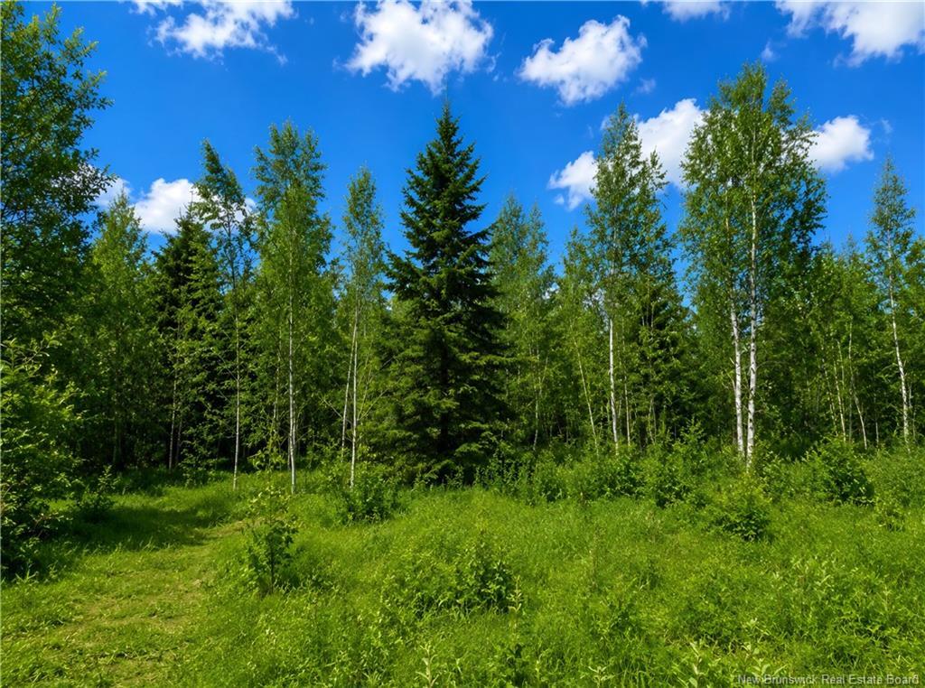 Lot Monteagle Rd, Salisbury, NB