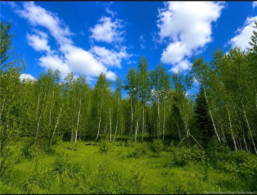 Lot Monteagle Rd, Salisbury, NB