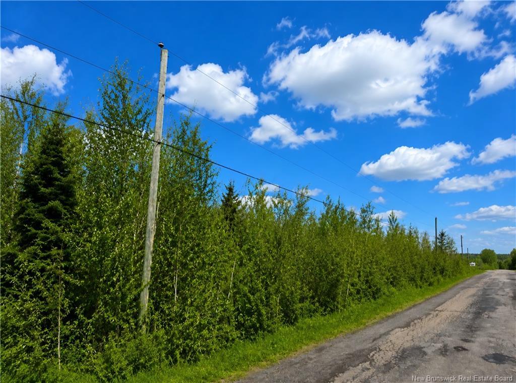 Lot Monteagle Rd, Salisbury, NB
