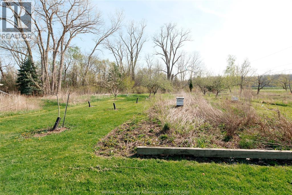 5689 Third Line, Chatham-Kent, ON - Outdoor With View