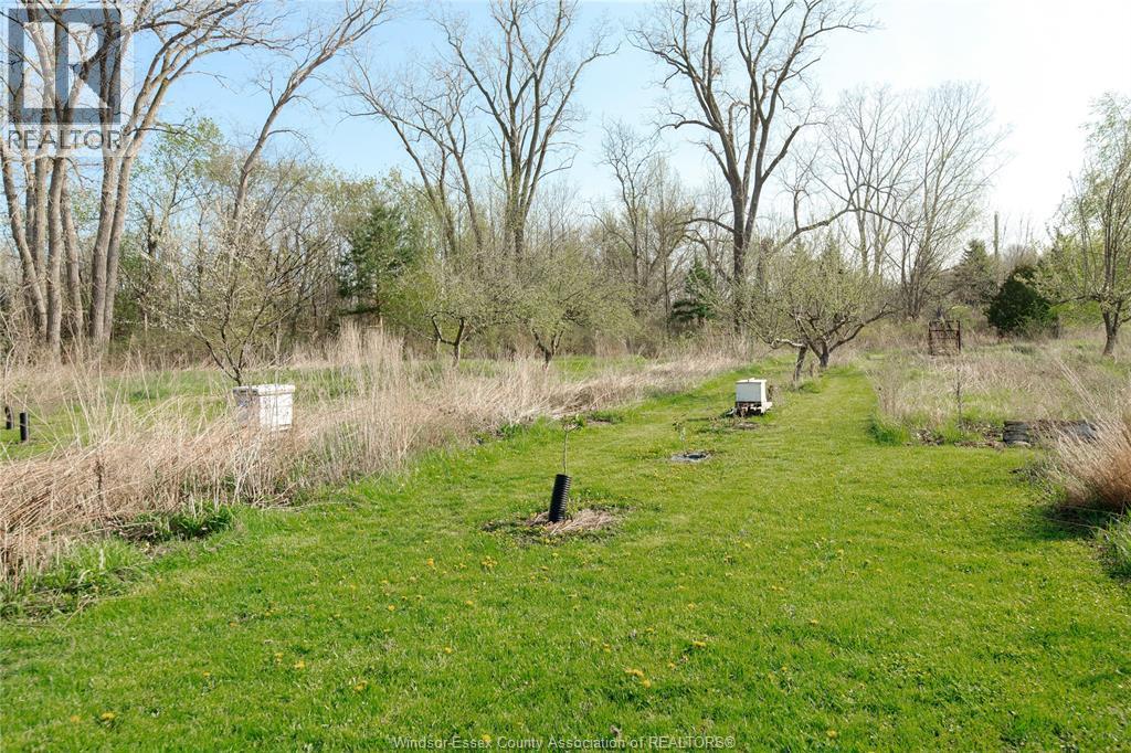 5689 Third Line, Chatham-Kent, ON - Outdoor With View