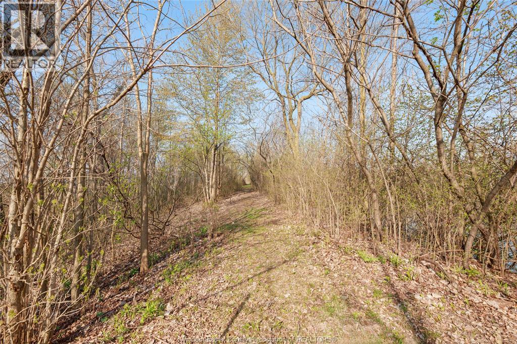 5689 Third Line, Chatham-Kent, ON - Outdoor With View