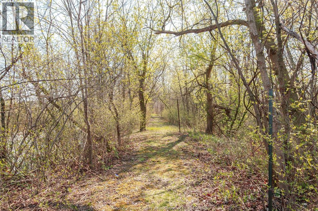 5689 Third Line, Chatham-Kent, ON - Outdoor With View