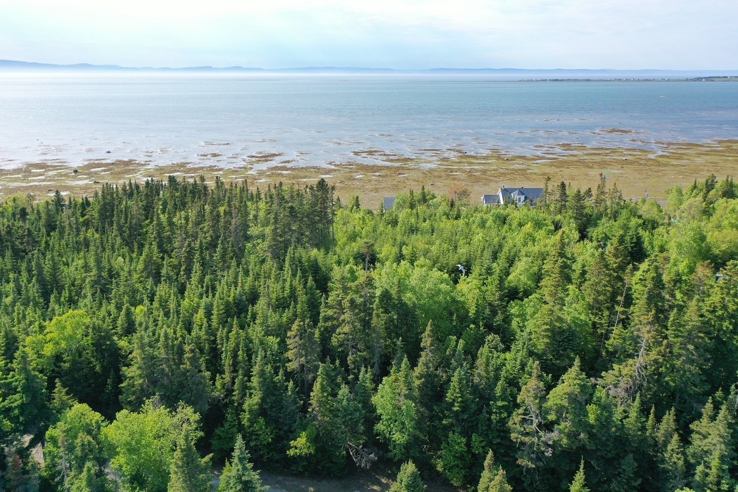 Photo aérienne - Ch. De La Pointe-À-Moreault, Cacouna, QC