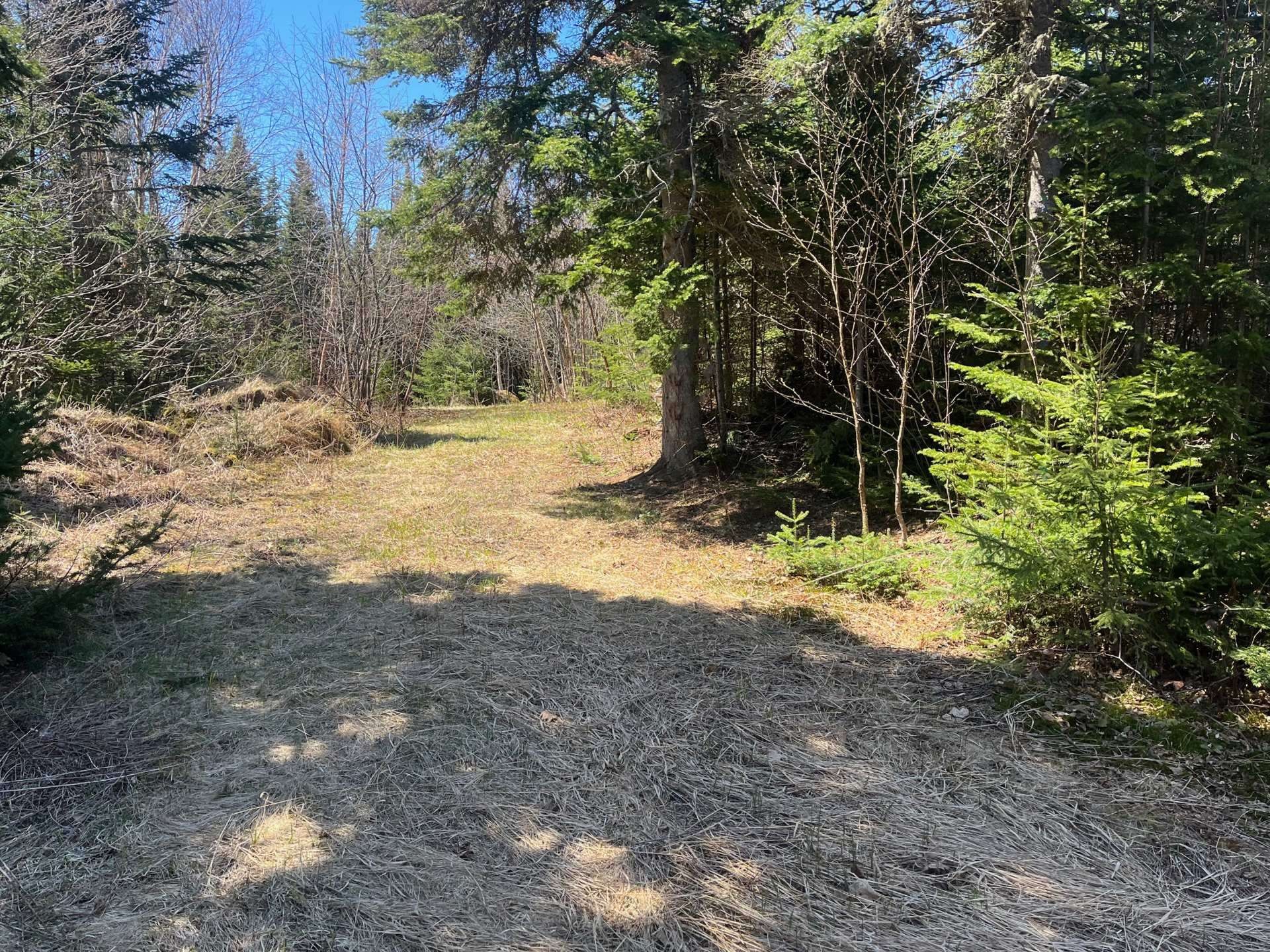Terre/Terrain - Ch. De La Pointe-À-Moreault, Cacouna, QC