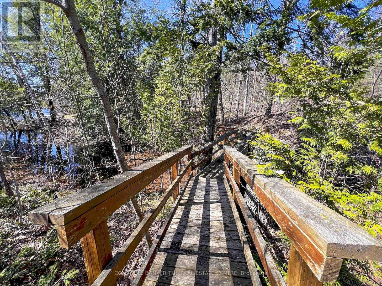 16 Evergreen Way, Trent Lakes, ON - Outdoor