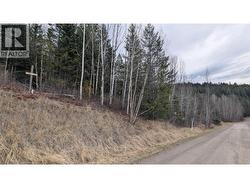 LOT 12 SUMMIT ROAD Canim Lake, BC V0K 1J0