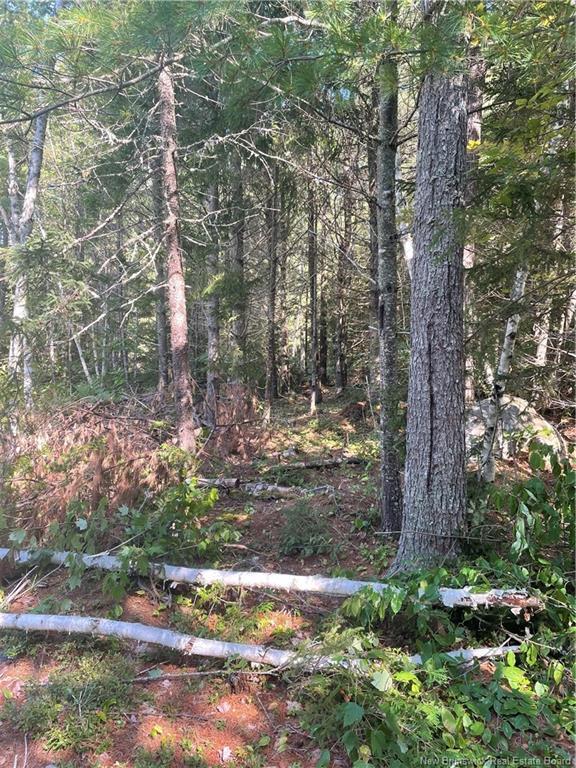 80 Whittier Rd, Rollingdam, NB
