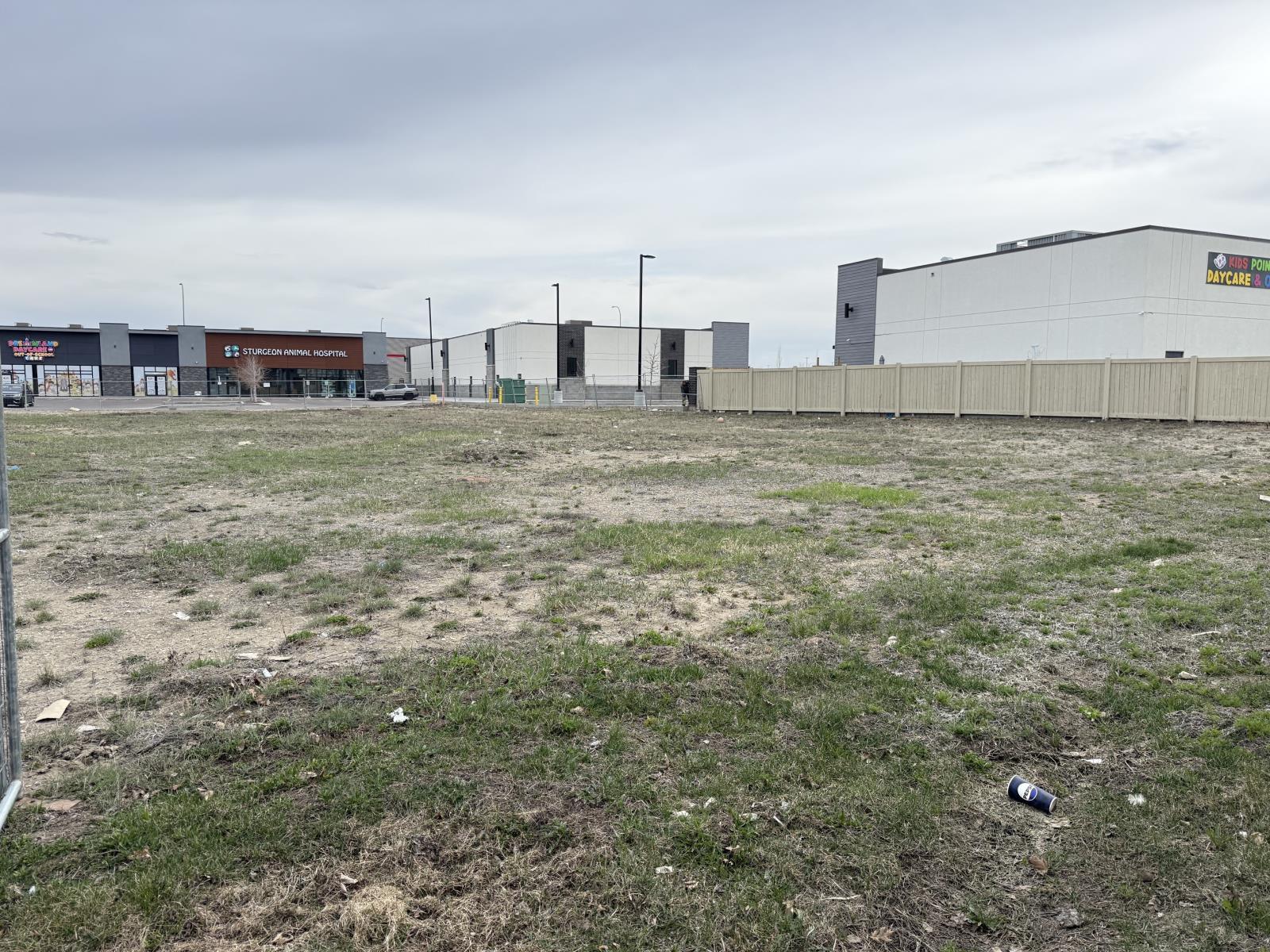 85 Neil Ross Rd, St. Albert, AB
