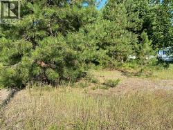 Lot 3 ODE Road Christina Lake, BC V0H 1E0