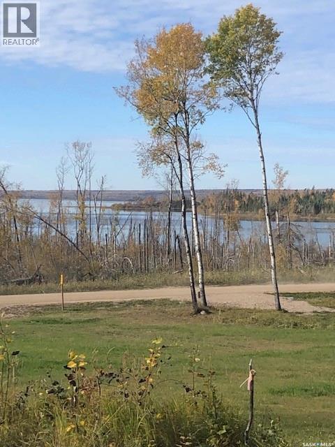 520 Diamond Willow Drive, Goodsoil, SK