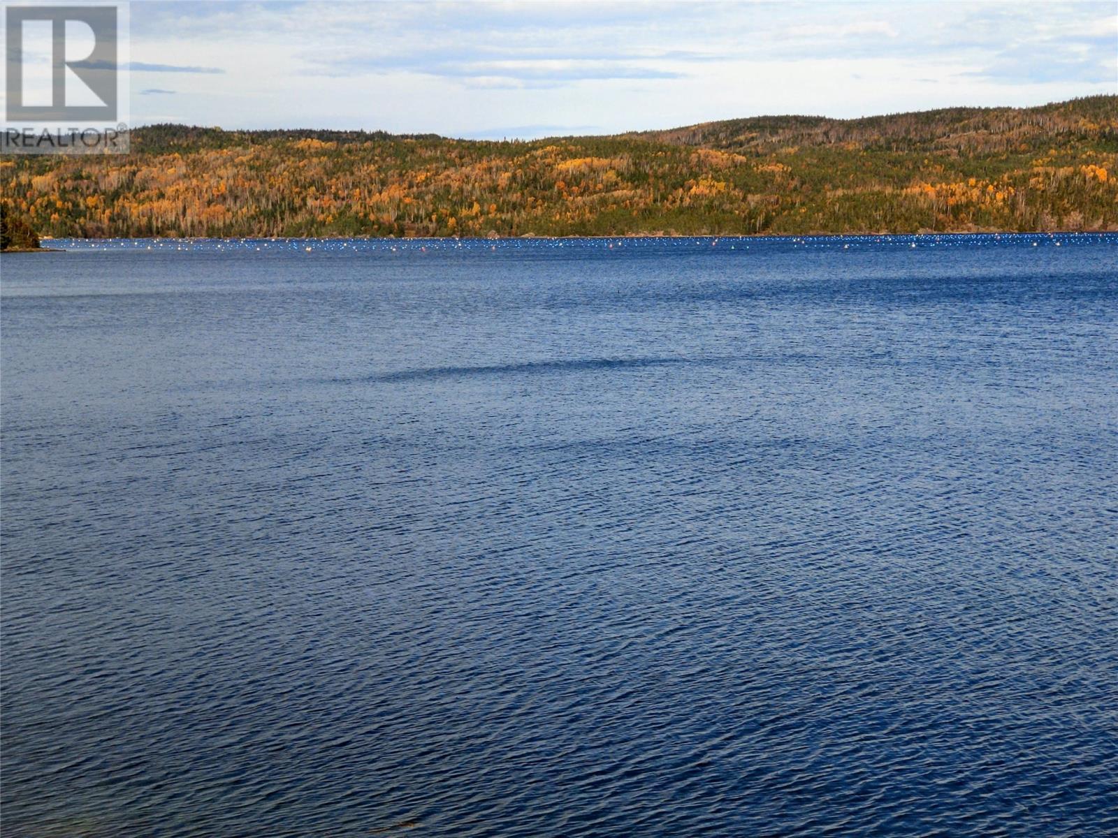 1 Route 380 Highway, Triton, NL - Outdoor With Body Of Water With View