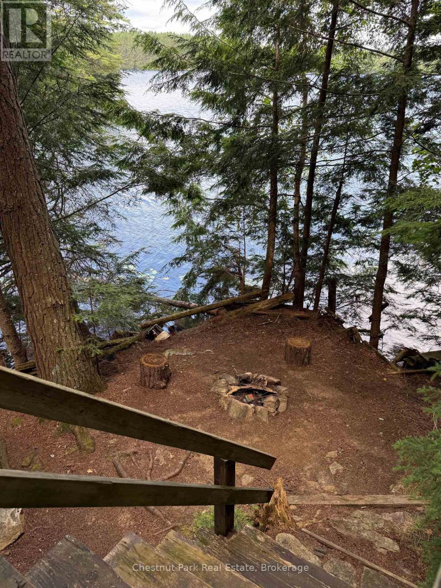 Waterside firepit, small level area below entrance - Apl1136E - 19 Cache Lake, South Algonquin, ON - Outdoor With View