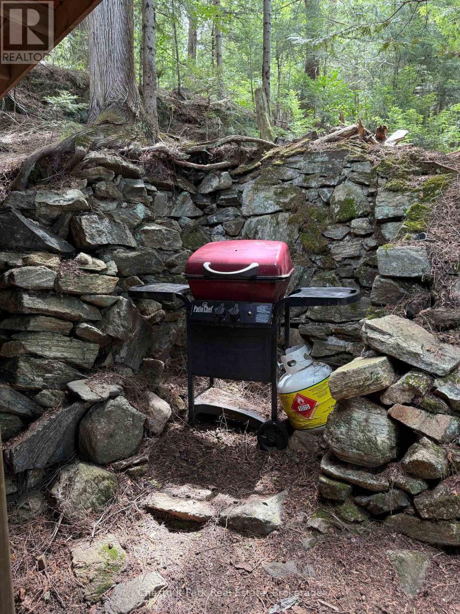Apl1136E - 19 Cache Lake, South Algonquin, ON - Outdoor