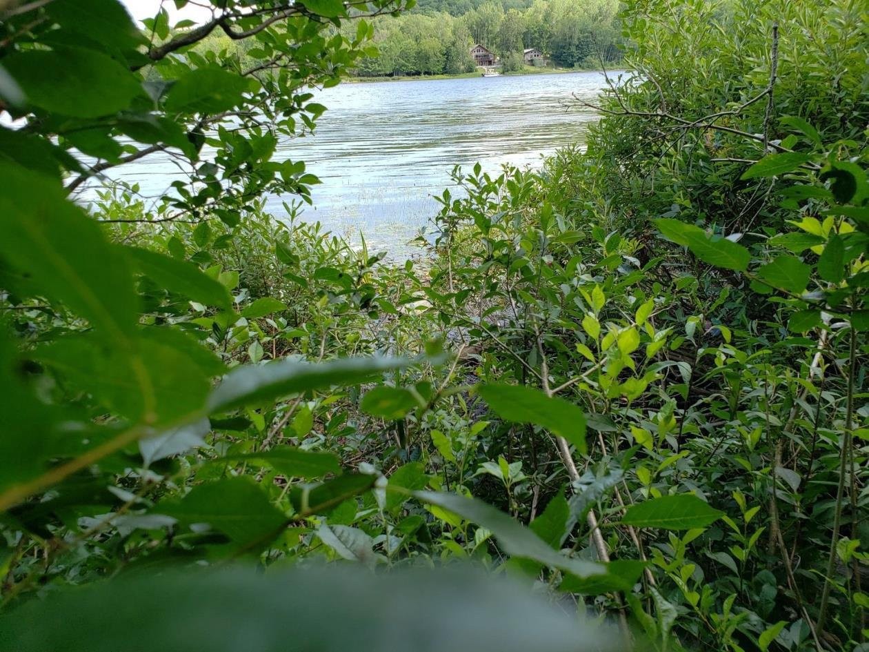 Vue - Ch. Du Baluchon, Lac-Des-Plages, QC