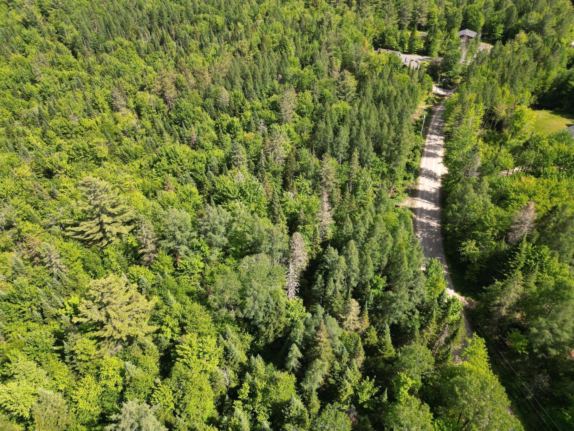Vue d'ensemble - Rue Du Lac-Long S., Saint-Alphonse-Rodriguez, QC