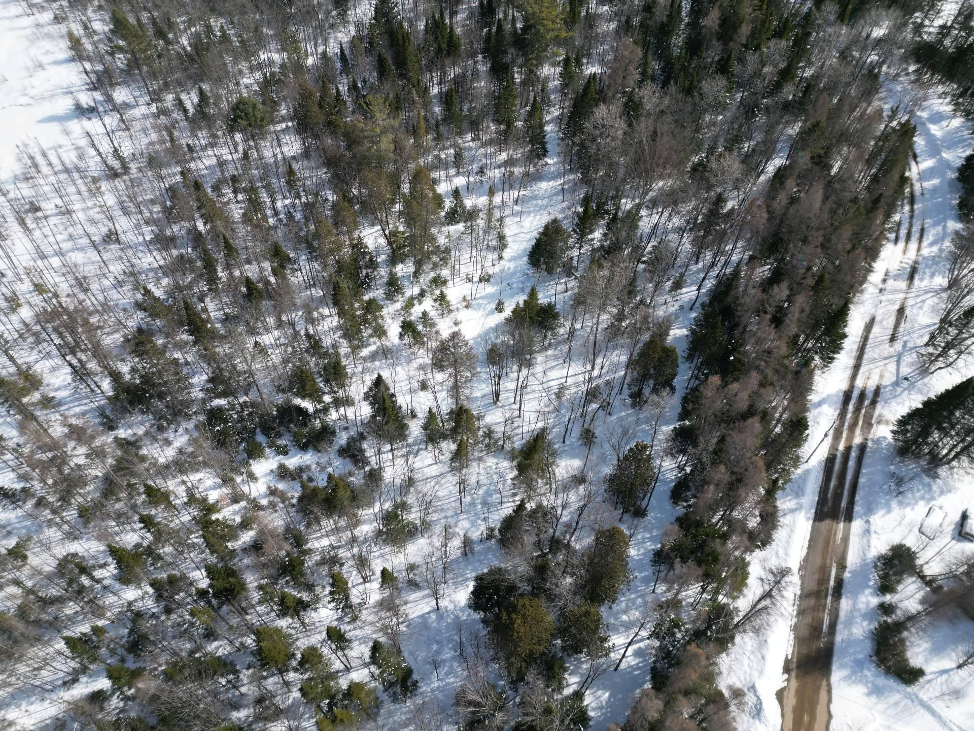 Vue d'ensemble - Rue Du Lac-Long S., Saint-Alphonse-Rodriguez, QC