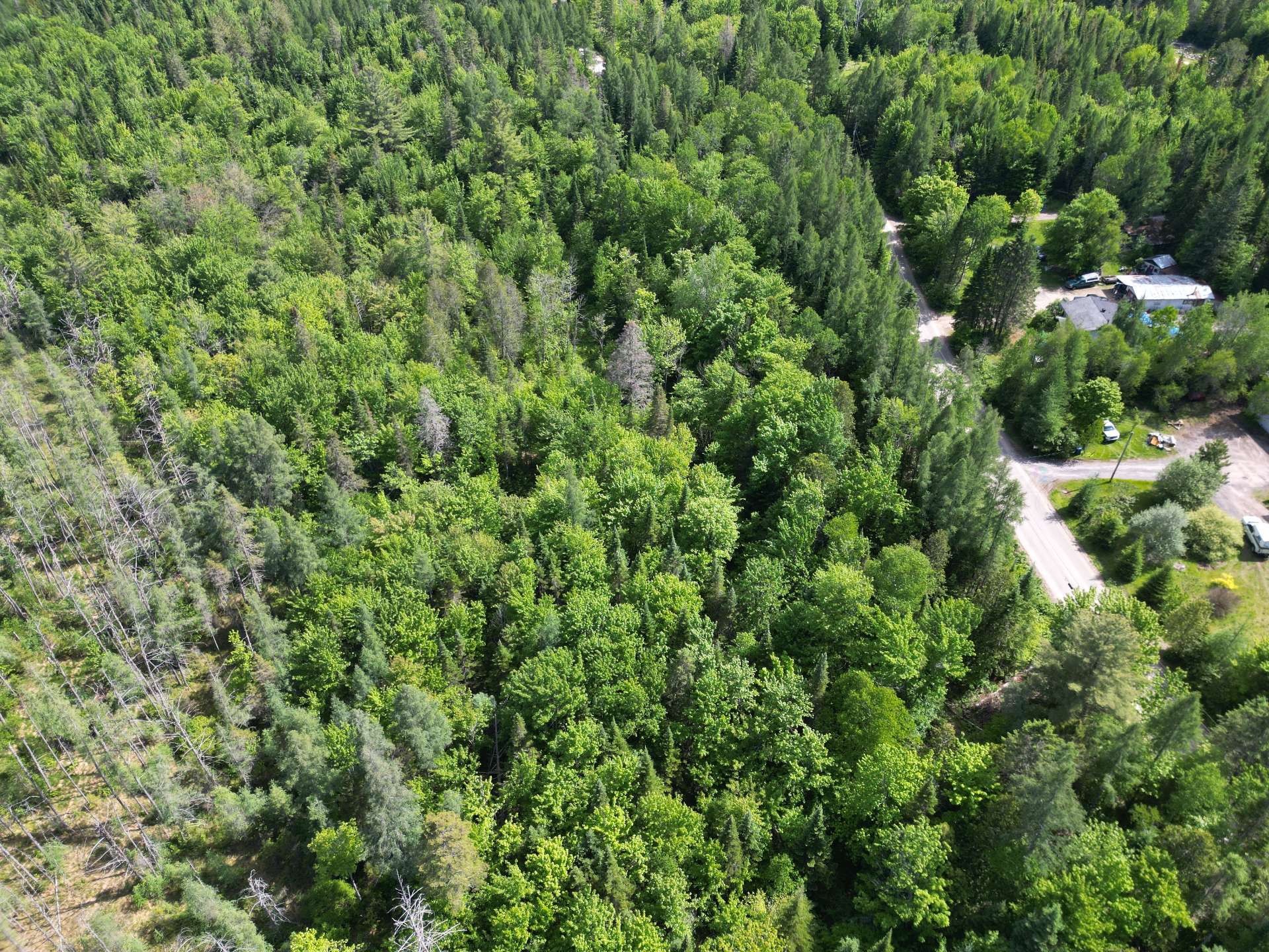 Vue d'ensemble - Rue Du Lac-Long S., Saint-Alphonse-Rodriguez, QC