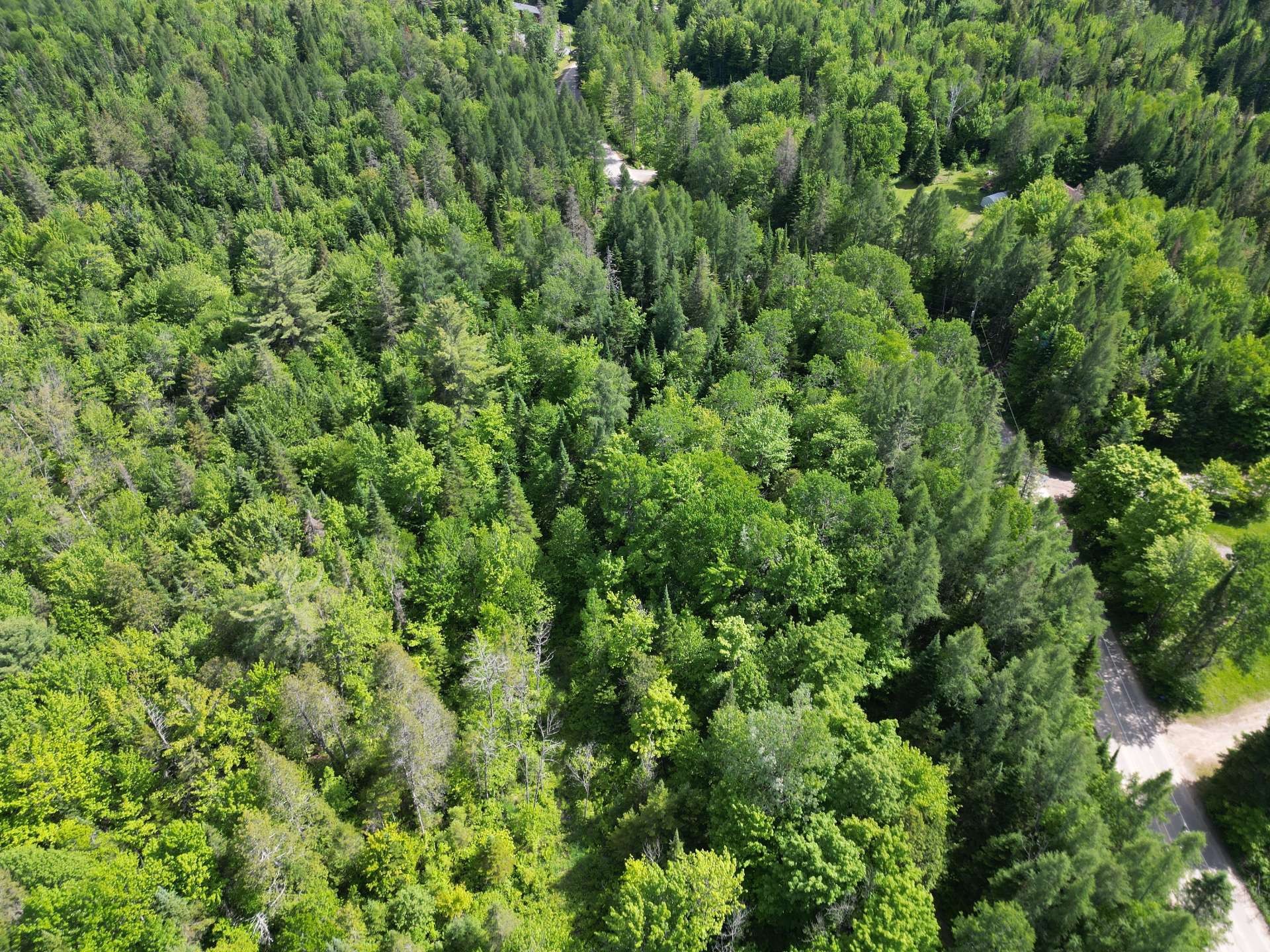 Vue d'ensemble - Rue Du Lac-Long S., Saint-Alphonse-Rodriguez, QC