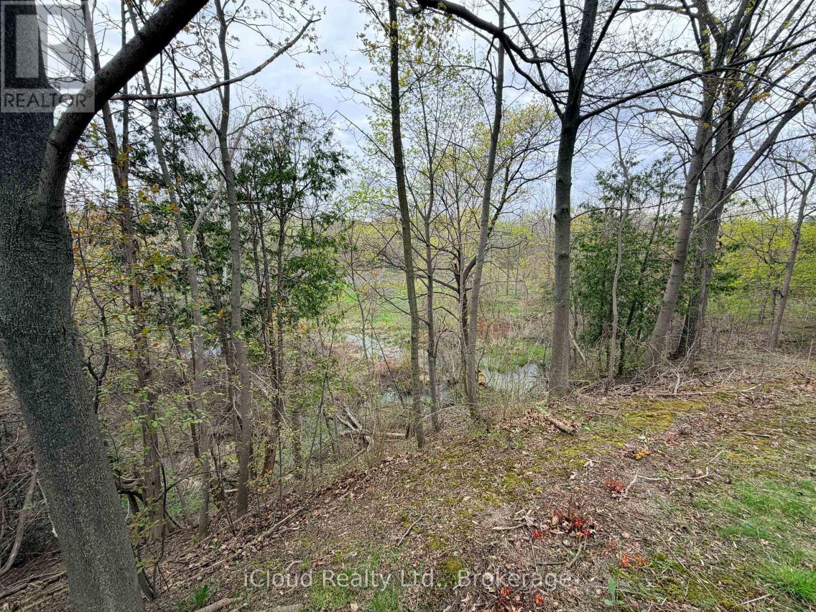 It's Like Being at the Cottage! - 176 Wyndham Street, Mississauga, ON - Outdoor With View