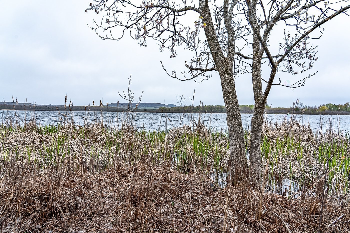 Extérieur - 200 Rue Water, Danville, QC - Outdoor With Body Of Water With View
