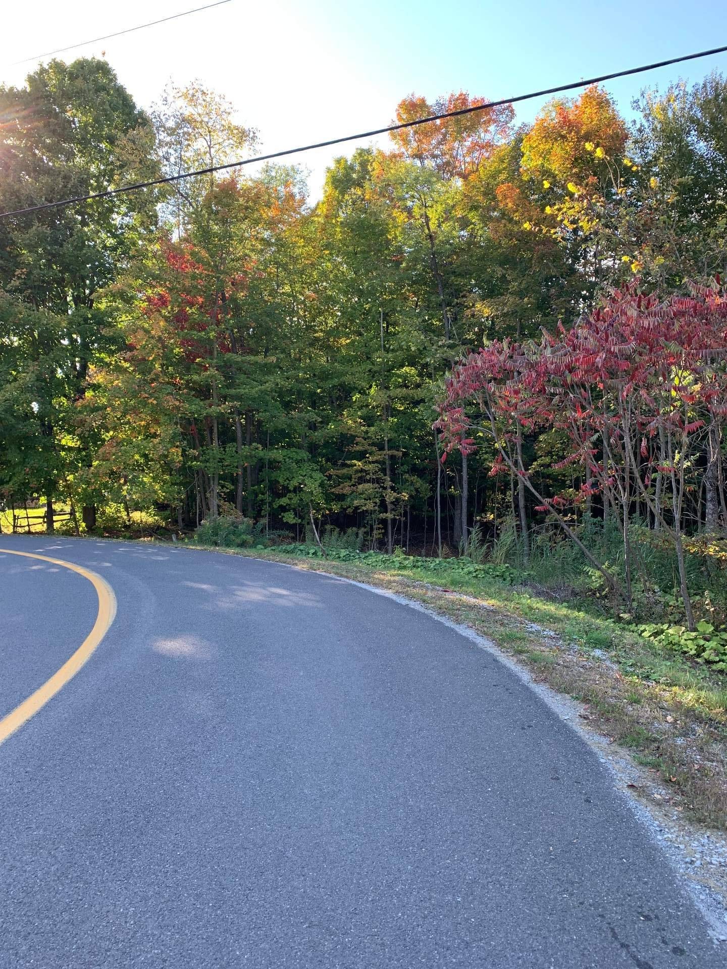Waterfront - Rue Des Cèdres, Bedford - Canton, QC