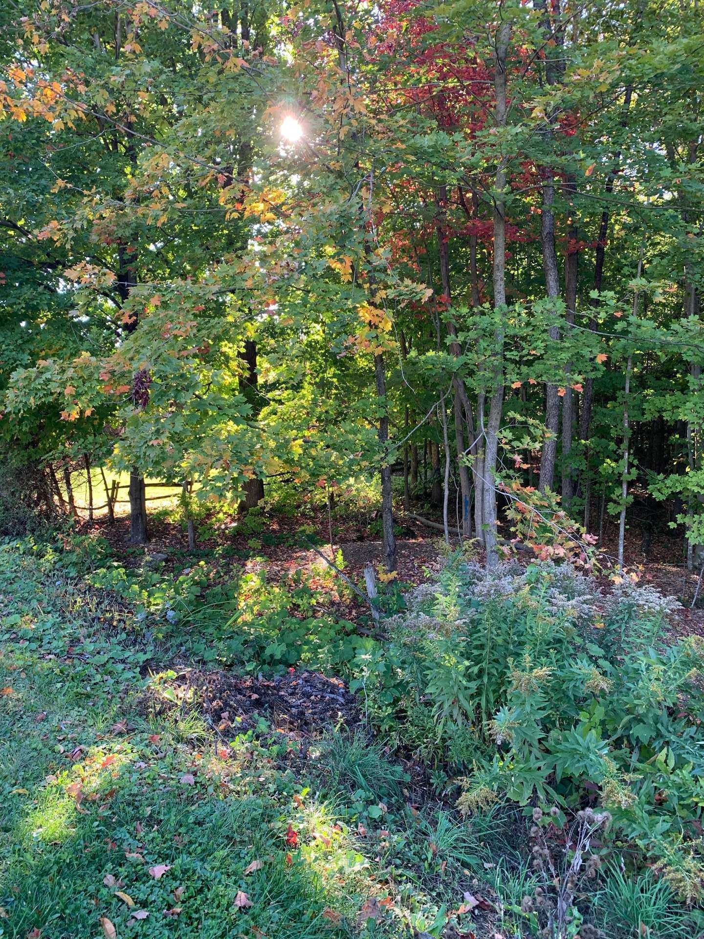 Front of Structure - Rue Des Cèdres, Bedford - Canton, QC