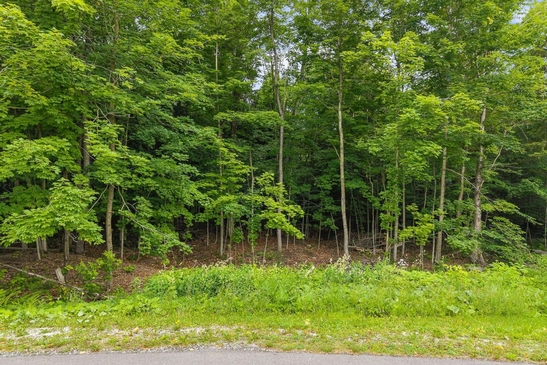Lot - Rue Des Cèdres, Bedford - Canton, QC